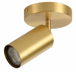 gold spotlight fixture
