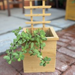 Cedar Planter 