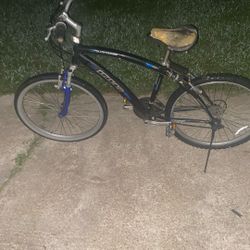 Ozone Bike 