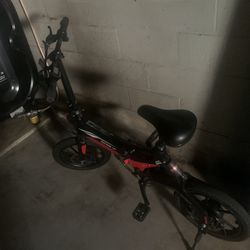Electric Bike