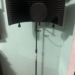 Microphone Stand & Microphone