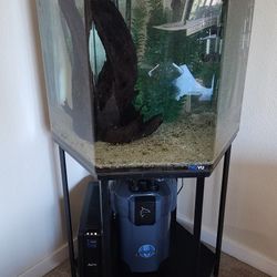 55 Gallon Hexagon Aquarium 