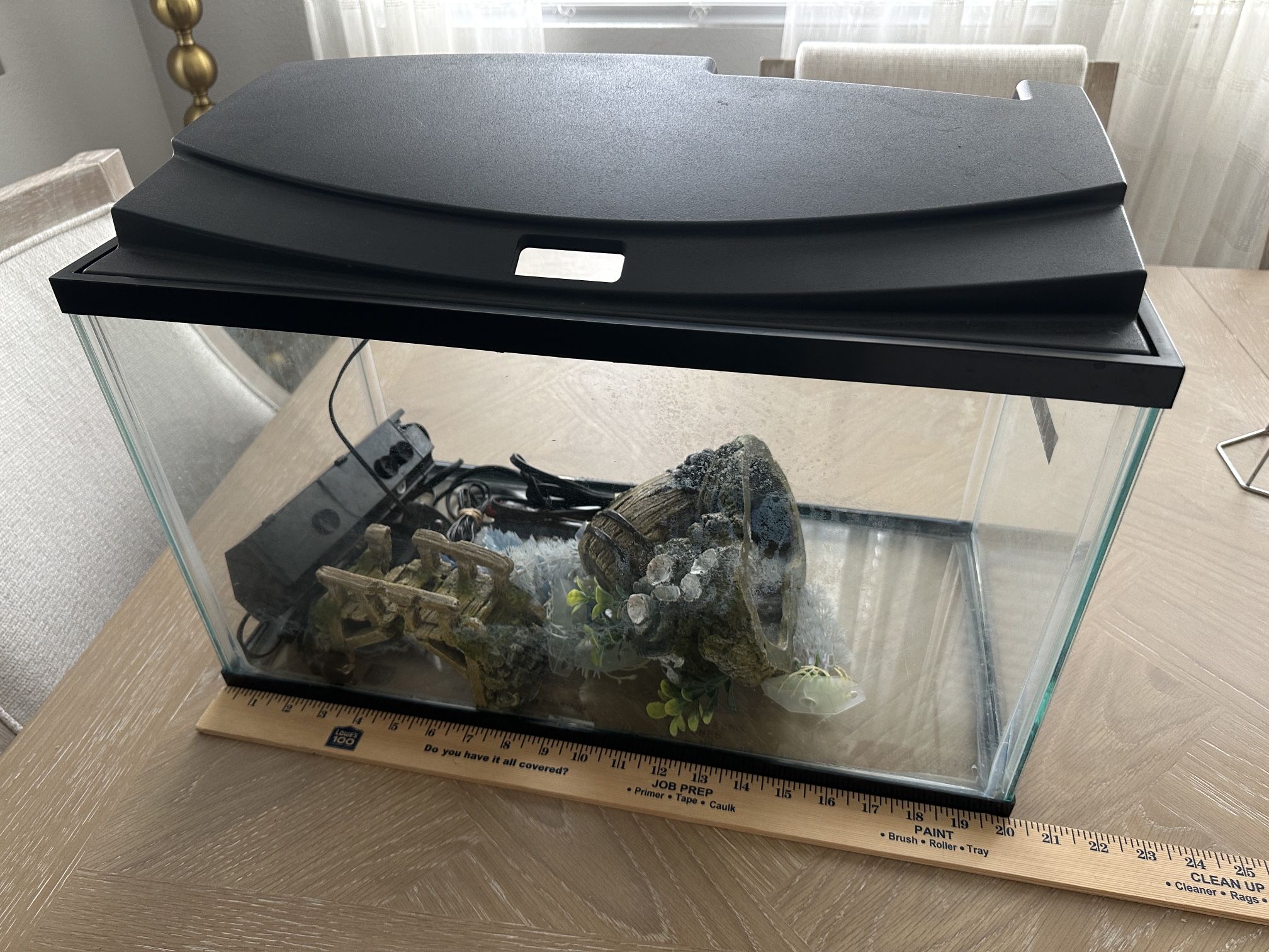 Must go ASAP -- 10 Gallon Aquarium with Filter and Decor