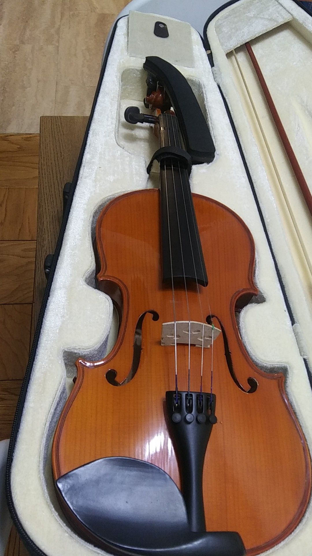 Violin 4/4 .carry box with many free accessories.