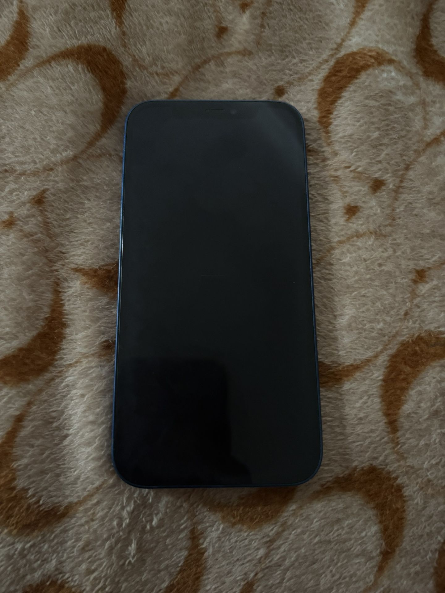 iPhone 12