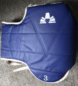 Taekwondo Sparring Vest😎👍🥋