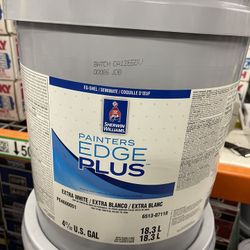 White Eggshell Paint