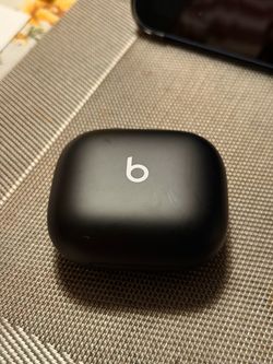 Beats Pro 2 Wireless Earbuds Charging Case