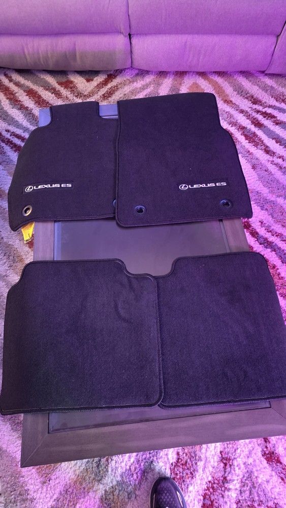 Floor Mats - 2025 Lexus ES 300h - Brand New