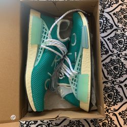 Pharrrell Dash Green Sz 11