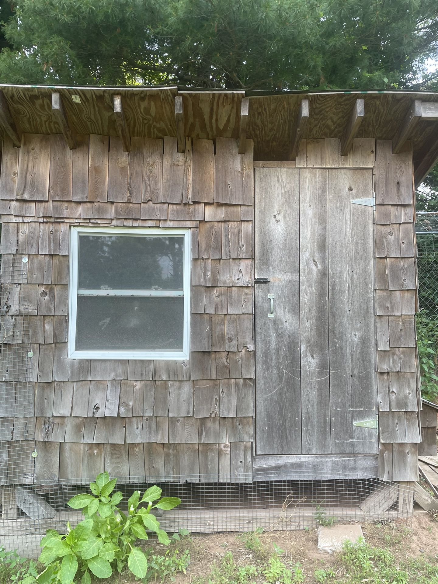 Chicken Coop