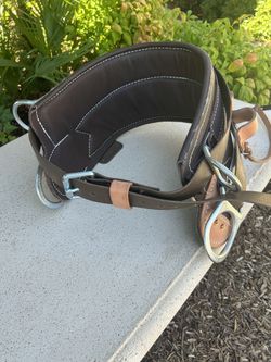 Buck 4 D Ring Climbing Belt