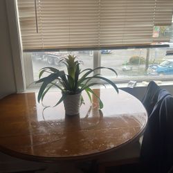 Free table and two chairs