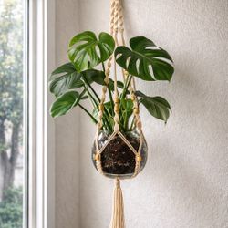 Boho Macramé Hanging Planter w/ Glass Pot – Monstera Plant Hanger | Modern Bohemian Decor