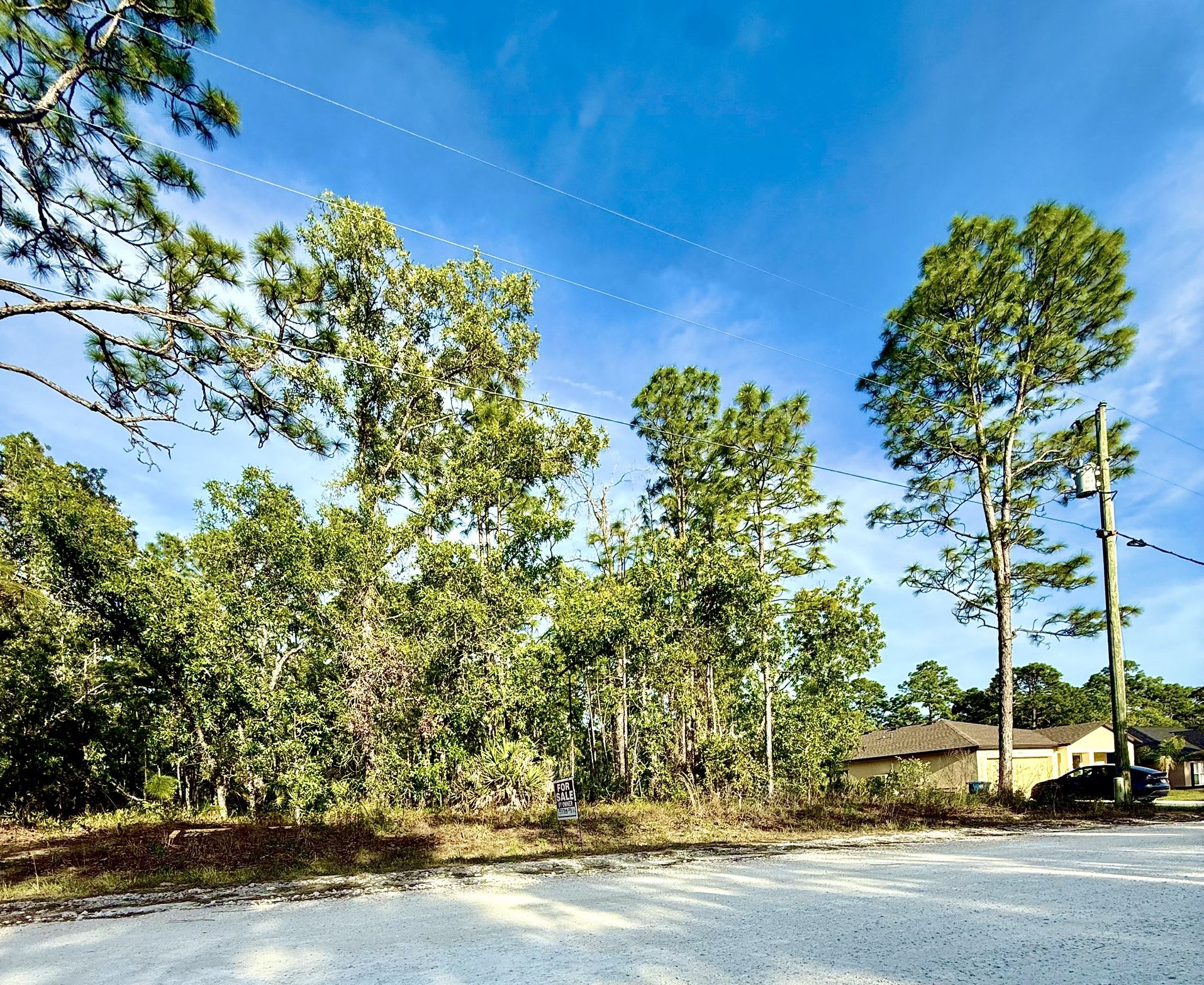 Vacant Lot / Land In Weeki Wachee