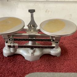 Trip Scale