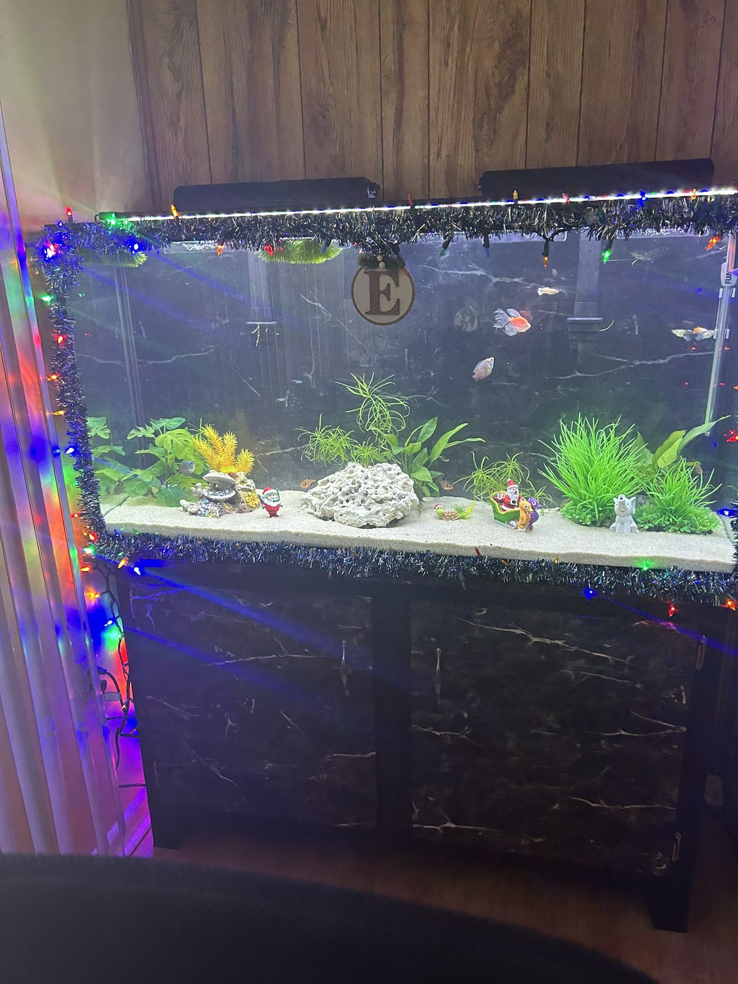 Fish Tank 60G With stand. 