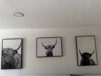 Highland cow wall decor