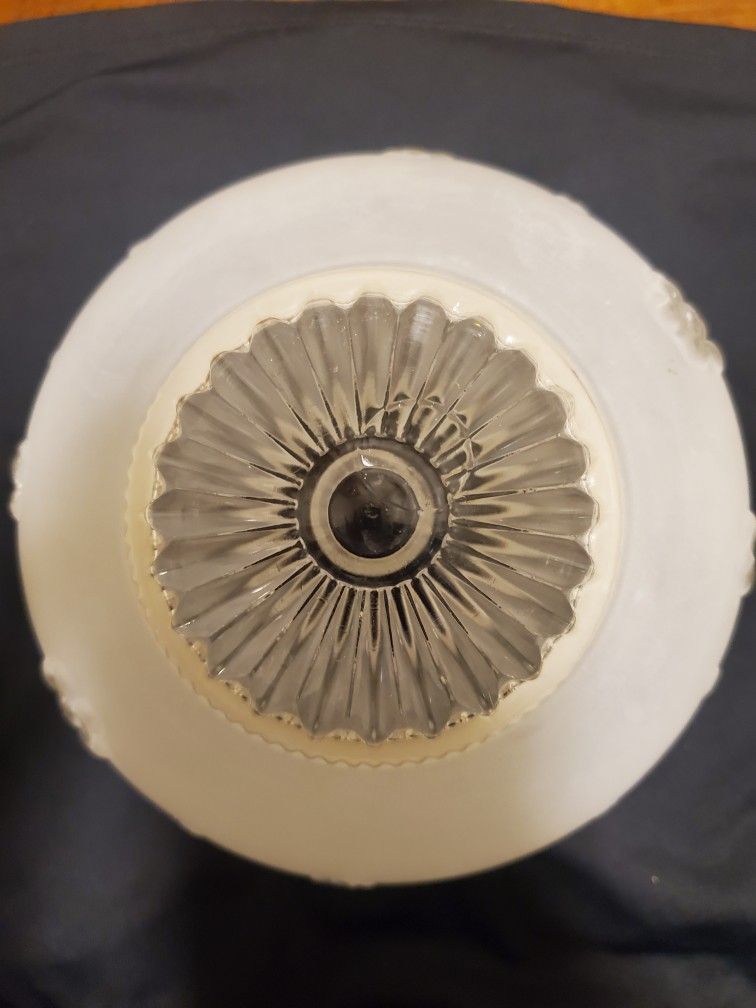 Frosted Glass Ceiling Globe. Features a pretty leaf and berry design.
