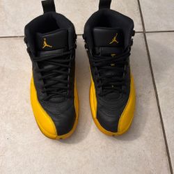 Jordan 12 