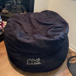 LoveSac Bean Bag Chair
