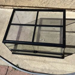 20 Gallon Tank