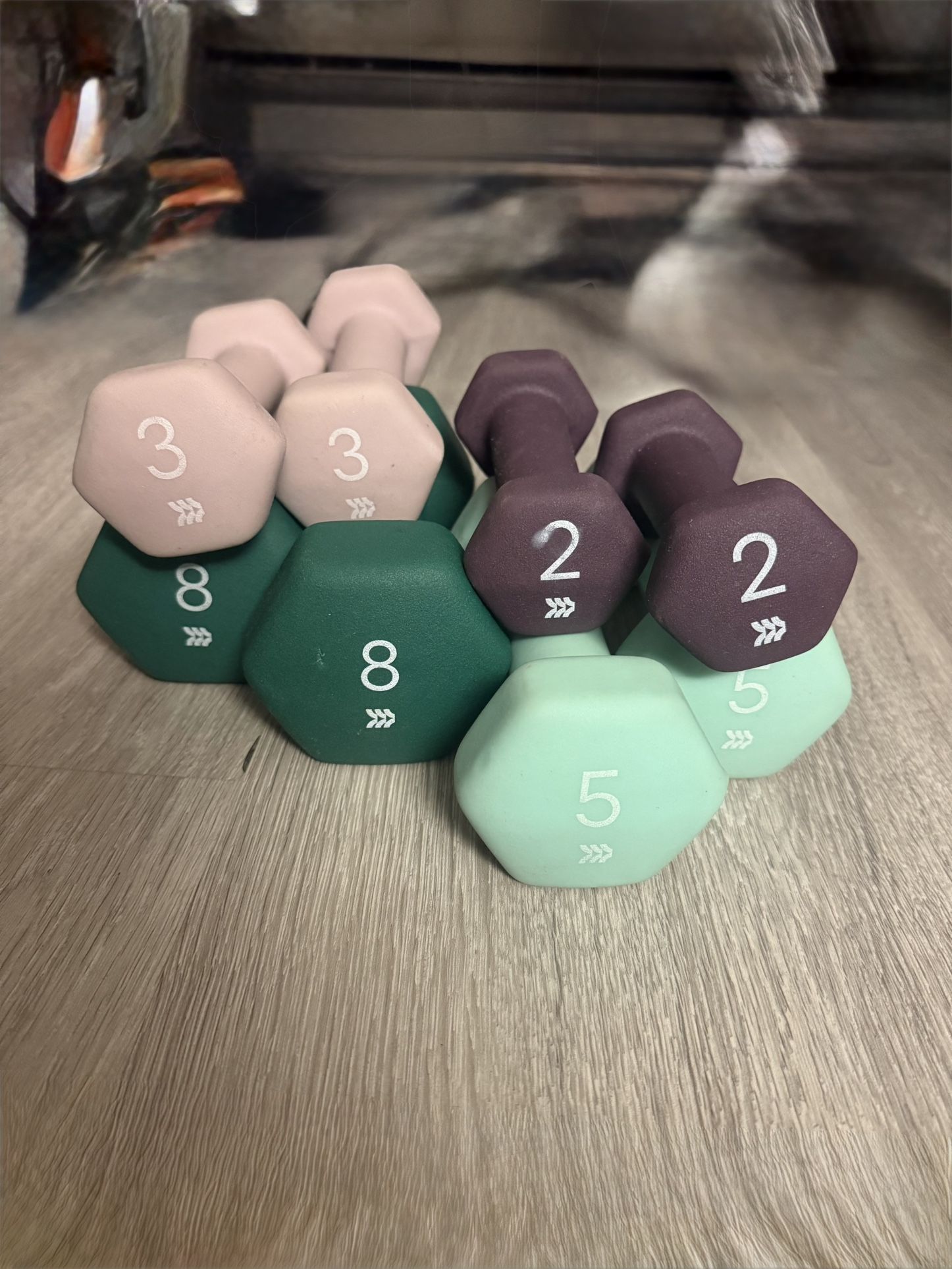 All In Motion Dumbbell Set