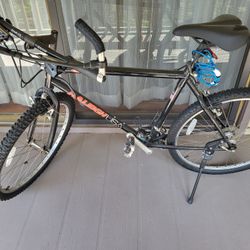 Raleigh USA Zoom 17 C  Rim 26