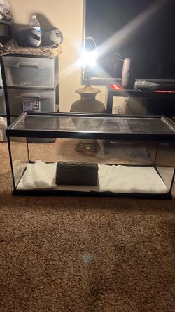 Snake tank