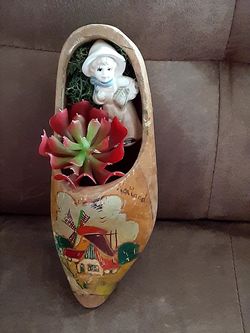 Wooden shoe