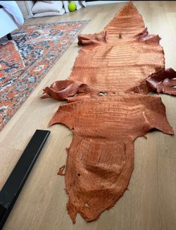 10’ 9” alligator hide