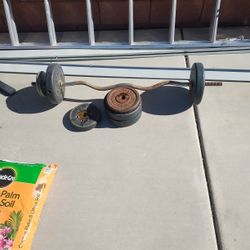 Curl Bar & Weights