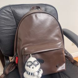 Coach Hall Backpack Mens