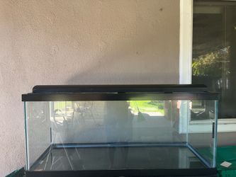 75 gallon tank excellent condition