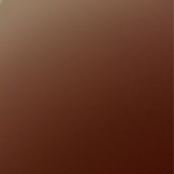 FIU Master’s Graduate Cap And Gown MBA Business