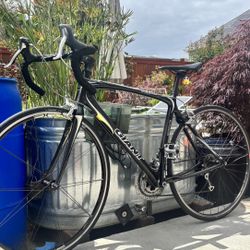 Giant OCR Composite Limited - Carbon Road Bike (Size: Medium 52cm-56cm)