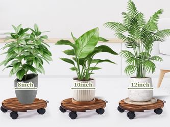 Wood Plant Flower Stand Caddy Dolly with Lockable Wheels Size 12" Diameter $7/each New Condition