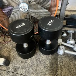 95 Lb Polyurethane Dumbells 