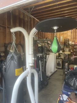 Everlast Powerball combo