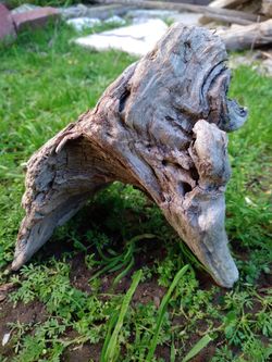 Genuine Driftwood For Aquariums Terrariums Decor Etc..