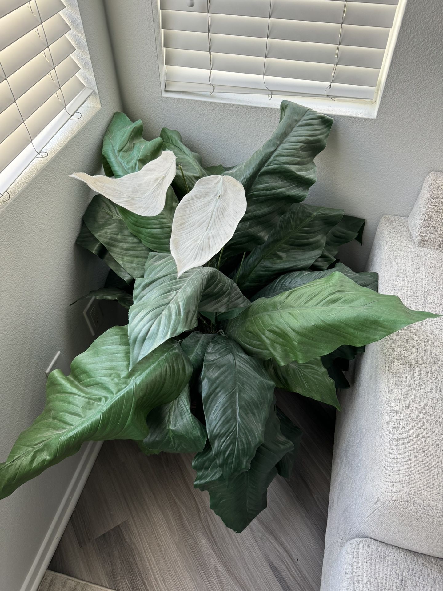 Large House Plant Decoration (Fake)
