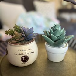 2 Ceramic Succulents 
