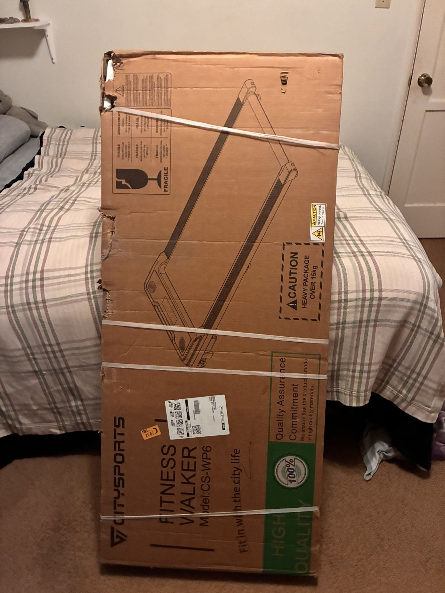 Citysports Treadmill Green/Black
