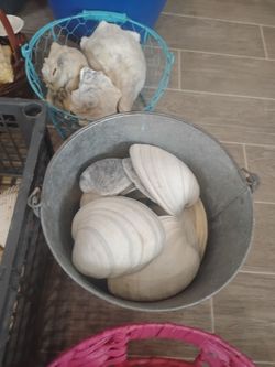 Clamshells