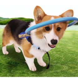 Blind Dog Circle Head Harness