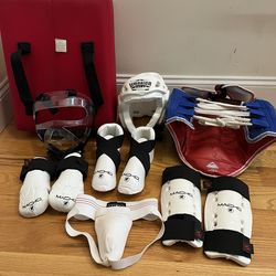 karate/Taekwondo Sparring Gear for kids