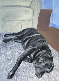 Sleeping Lab Acrylic Painting 