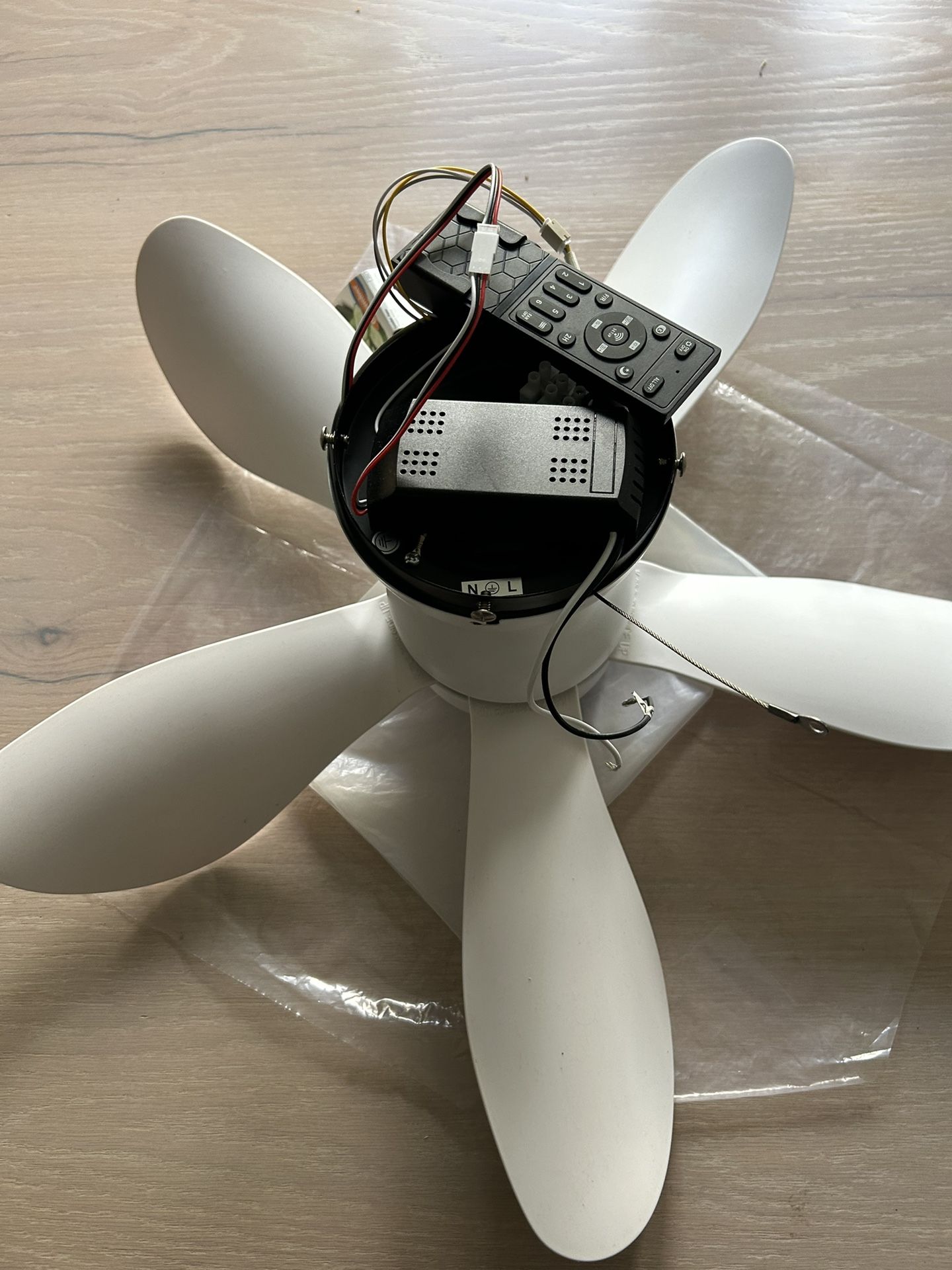 Ceiling Fan 