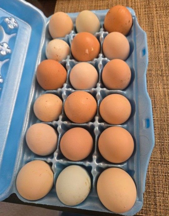 Fresh Farm Eggs - Unwashed