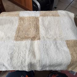 Used Soft 2' x 4'  Rug has some small stains that might come out.